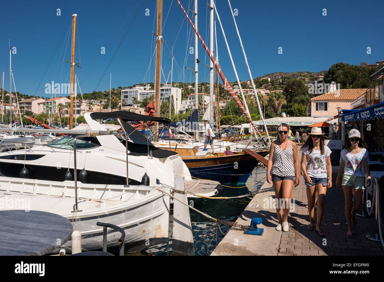 Il porto di Le Lavandou, Var, PACA, Provence-Alpes-Côte d'Azur, in Francia Foto Stock