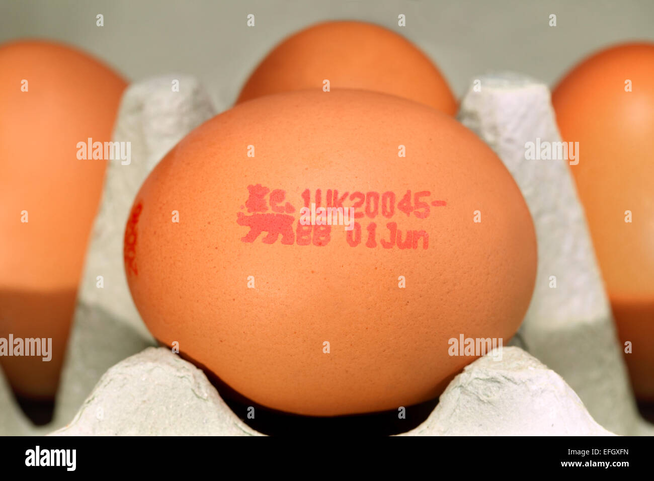 "British Lion Qualità " marchio apposto su un uovo che dimostra che le pollastre e siano stati vaccinati contro la Salmonella enteritidis Foto Stock