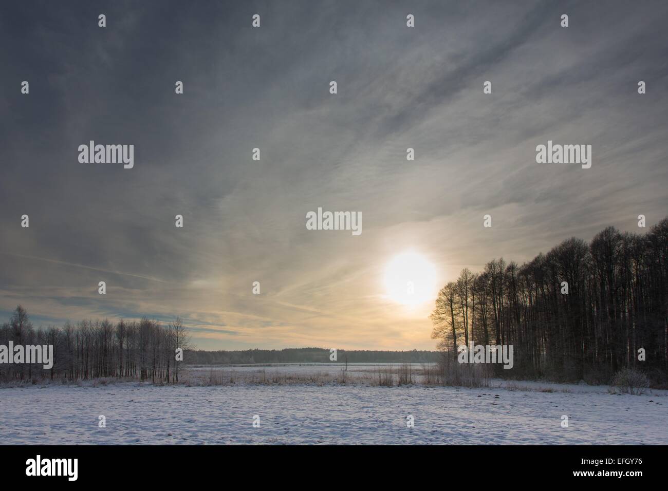 Inverno tramonto su prati e boschi con sun dietro il cloud Foto Stock