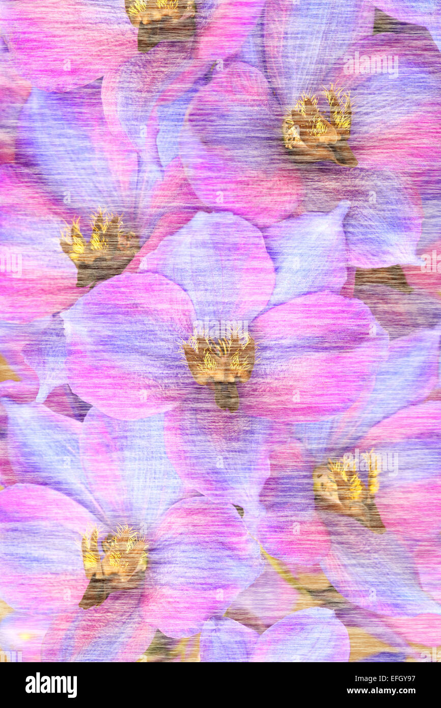 Un sottile stilizzata immagine di sfondo da una fotografia di fiori Delphinium; per utilizzare come immagine di sfondo con spazio per la copia Foto Stock
