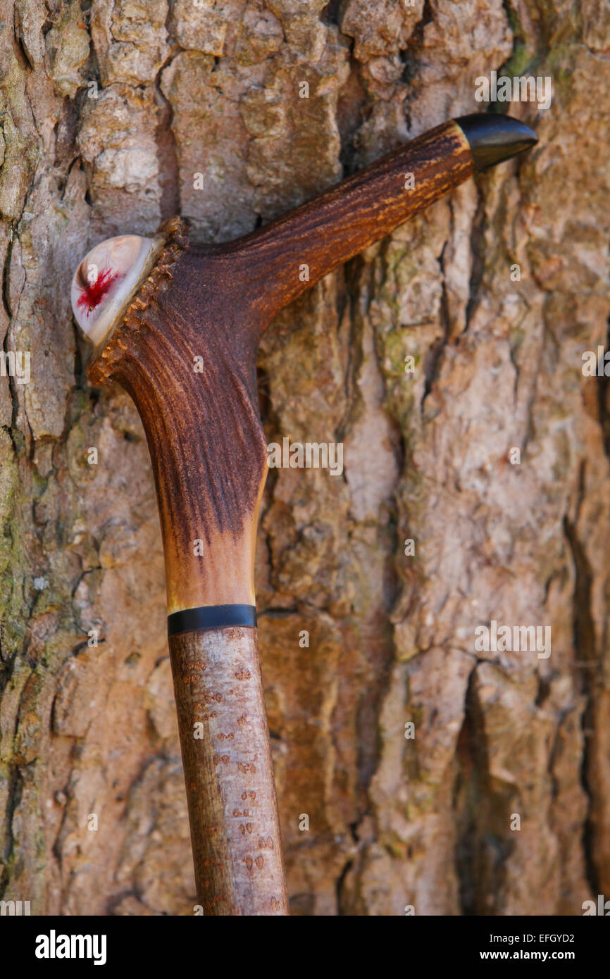 Artigianali tradizionali Hazel Wood shepherds crook con rosso di corna di cervo levetta maniglia e di Pesca a Mosca Report di Pesca FLY in resina Foto Stock