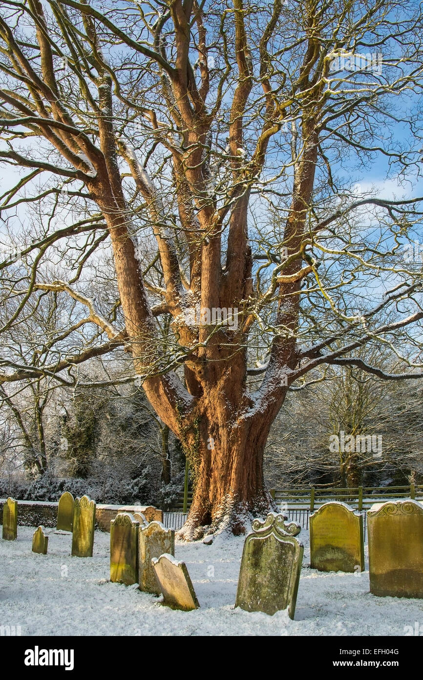 In inverno la neve nel cimitero di un inglese chiesa parrocchiale nel piccolo villaggio di Slingsby nel North Yorkshire in Inghilterra settentrionale Foto Stock