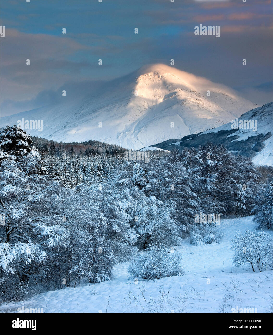 Ben più, Strathfillan vicino a Crianlarich Foto Stock