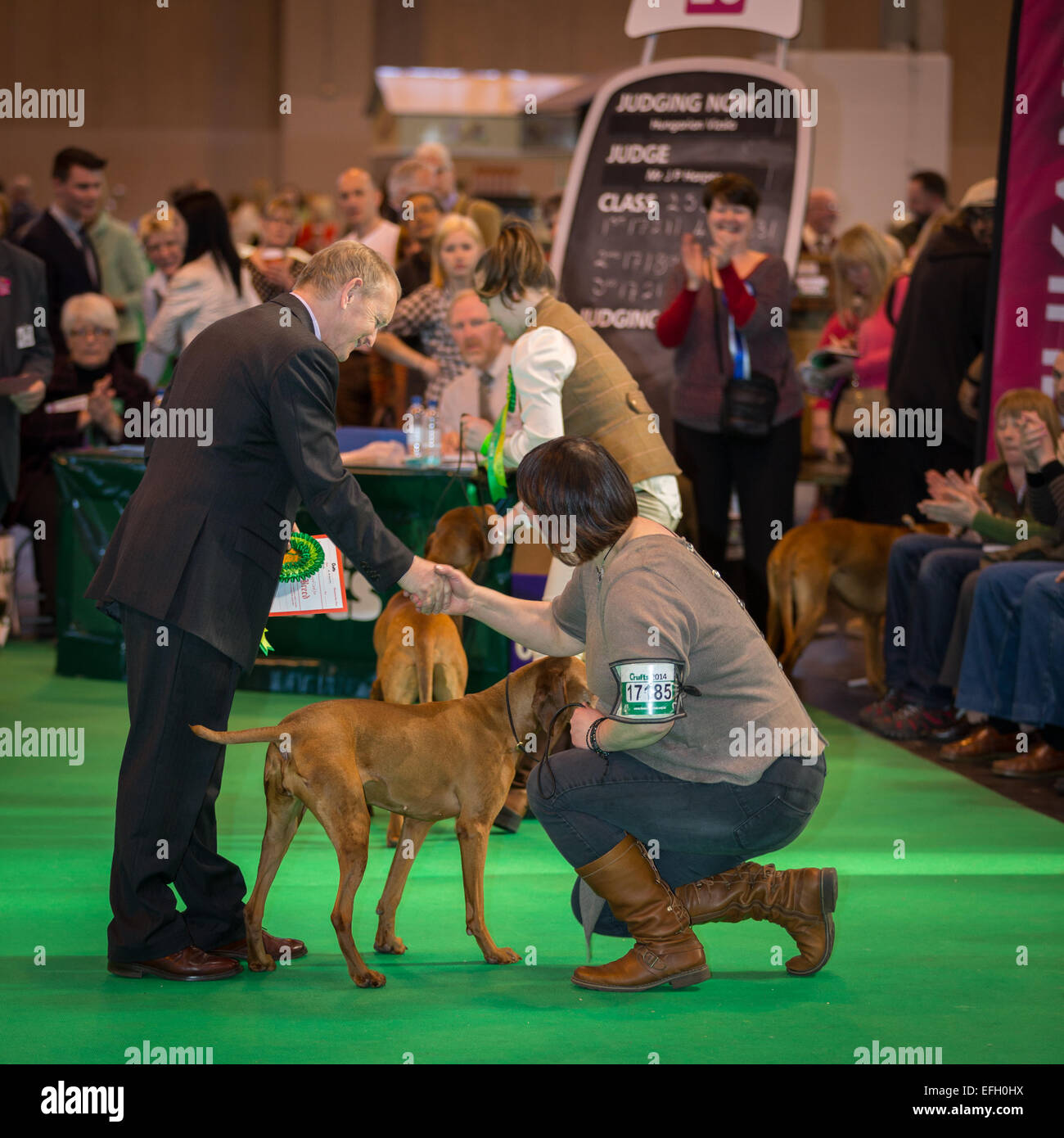 Un giudice si congratula con un concorrente al Crufts 2014. Foto Stock