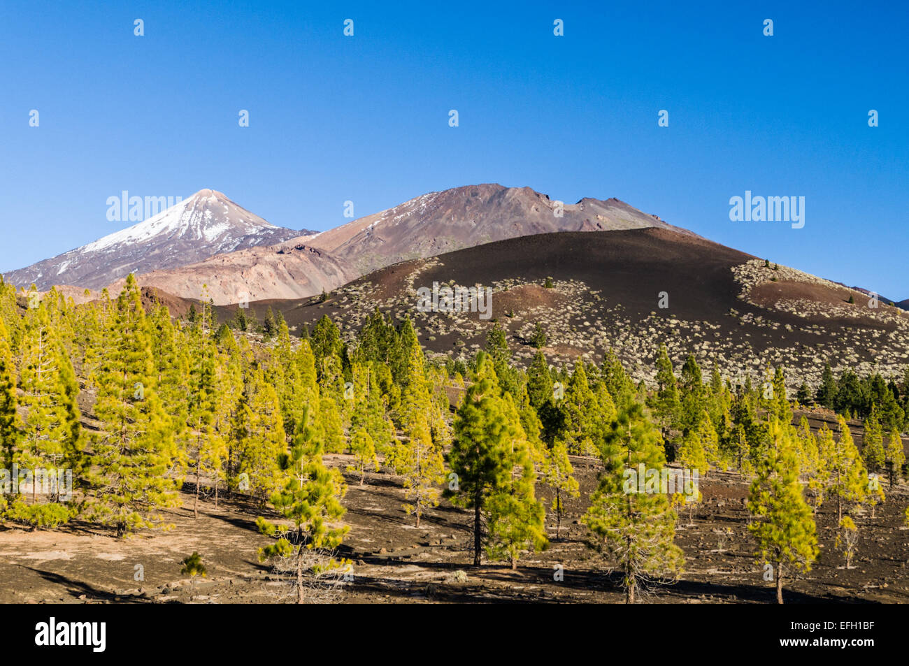 Vista sulla cresta del Teide, Pico Viejo vulcani Samara e montagna, Tenerife Foto Stock