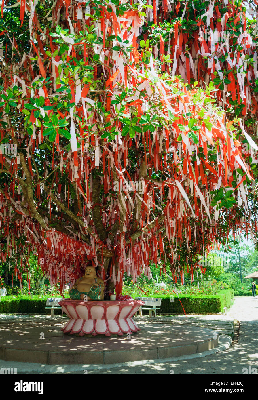 Il famoso 'amore tree" su Mong Mo Hill in Da Lat, Vietnam. Le coppie sono offerti una possibilità di scrivere note di auguri e il pin. Foto Stock