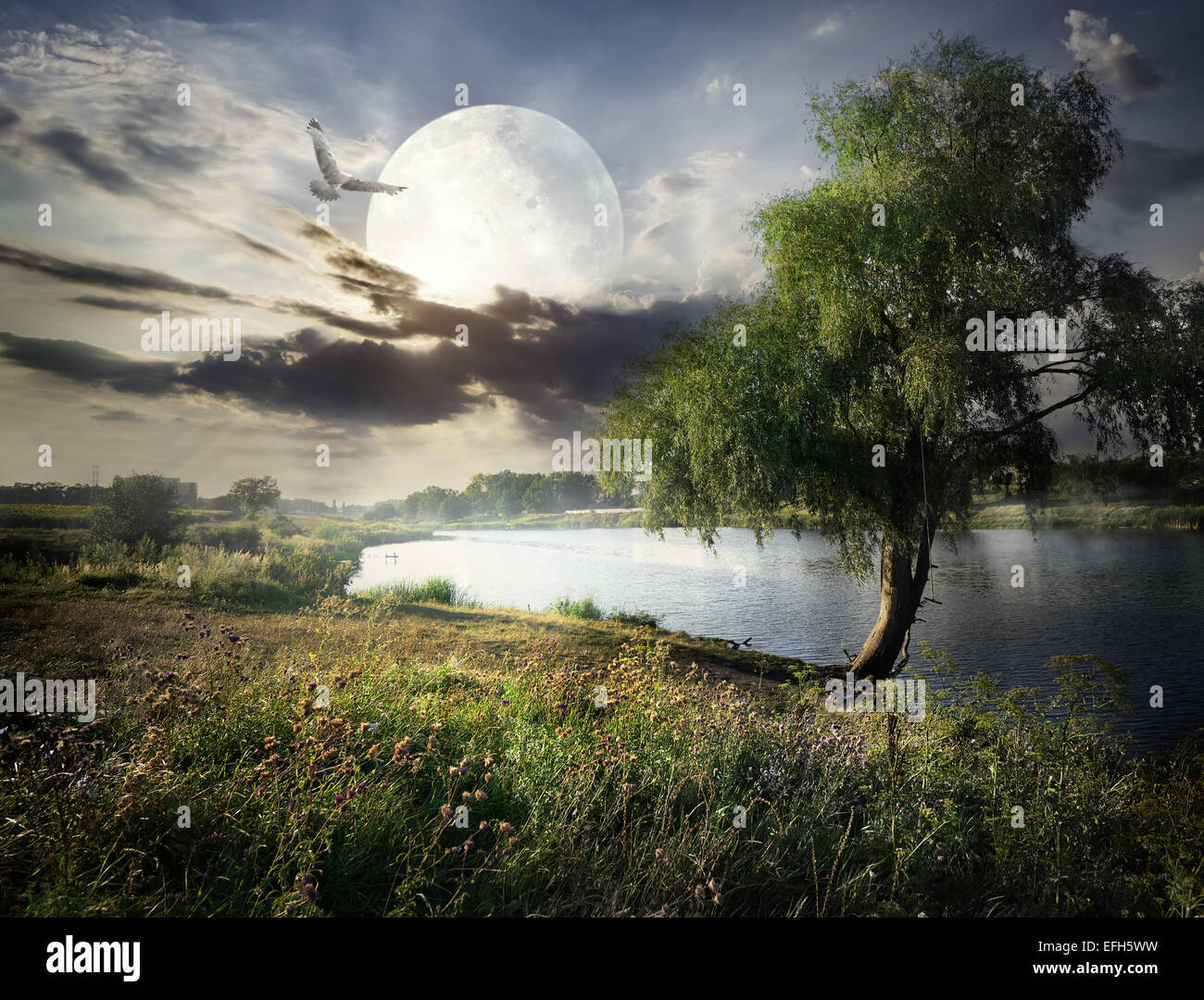 Willow vicino al fiume e uccello sotto la luna piena. Gli elementi di questa immagine fornita dalla NASA Foto Stock