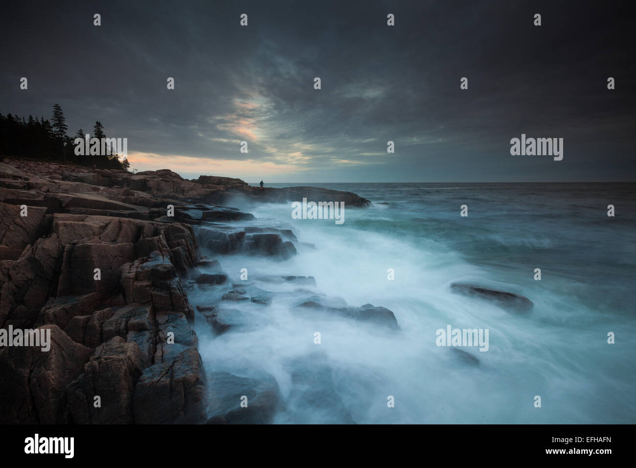 Sundown lungo la costa (Otter punto), il Parco Nazionale di Acadia, Maine, Stati Uniti d'America Foto Stock