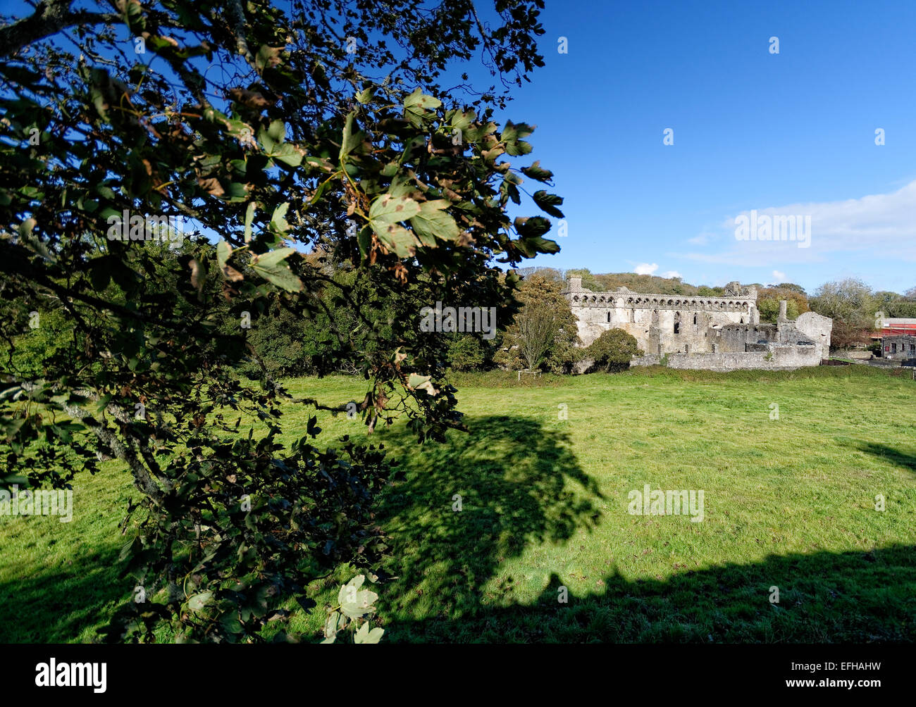 Palazzo dei Vescovi, St Davids Cathedral (Gallese Eglwys Gadeiriol Tyddewi), è situato a St Davids nella contea di Pembrokeshire Foto Stock