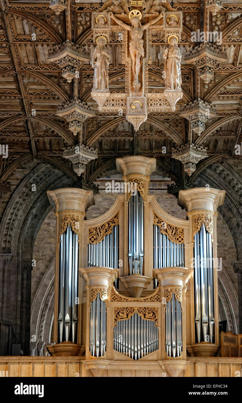 St Davids Cathedral (Gallese Eglwys Gadeiriol Tyddewi), è situato a St Davids nella contea di Pembrokeshire organ Foto Stock