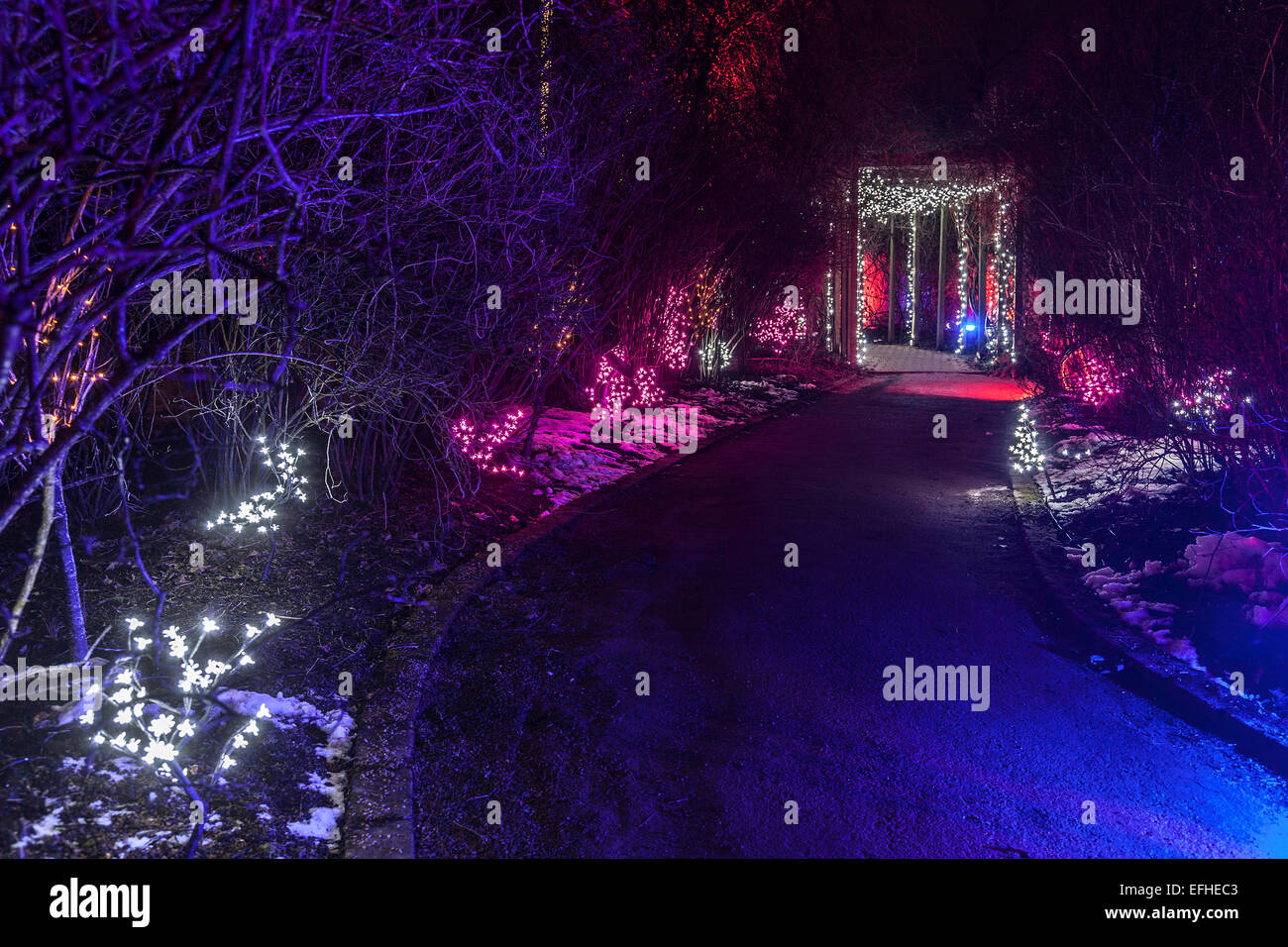 Luce Illumnated e arco come parte dei giardini elettrico / Lux Botanicum, organizzata a Glasgow Botanic Gardens con il West End Festival Foto Stock