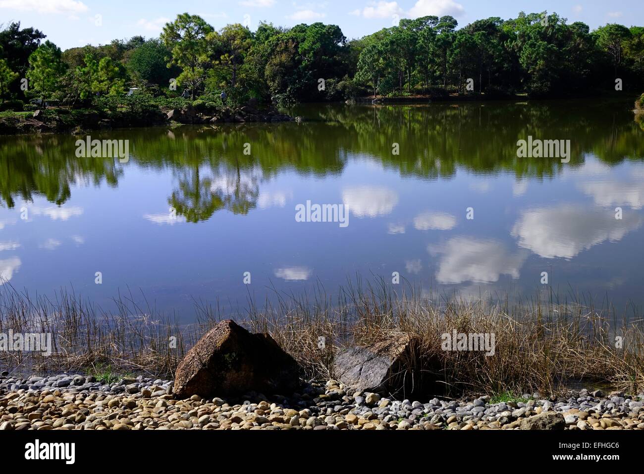 Lago di Morikami Giardini Giapponesi, Delray Beach, Palm Beach County, Florida Foto Stock
