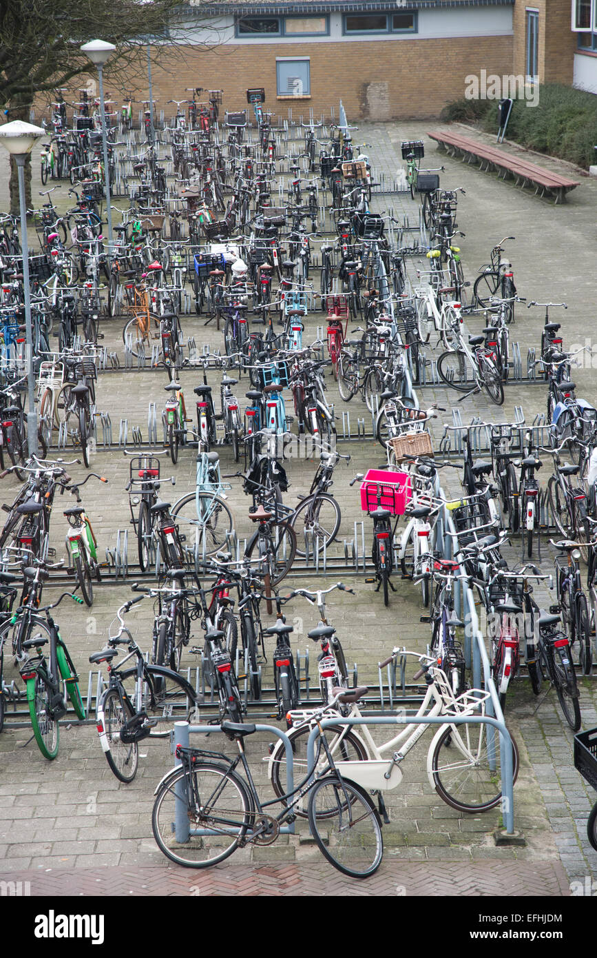 Le biciclette parcheggiate a scuola in Olanda Foto Stock