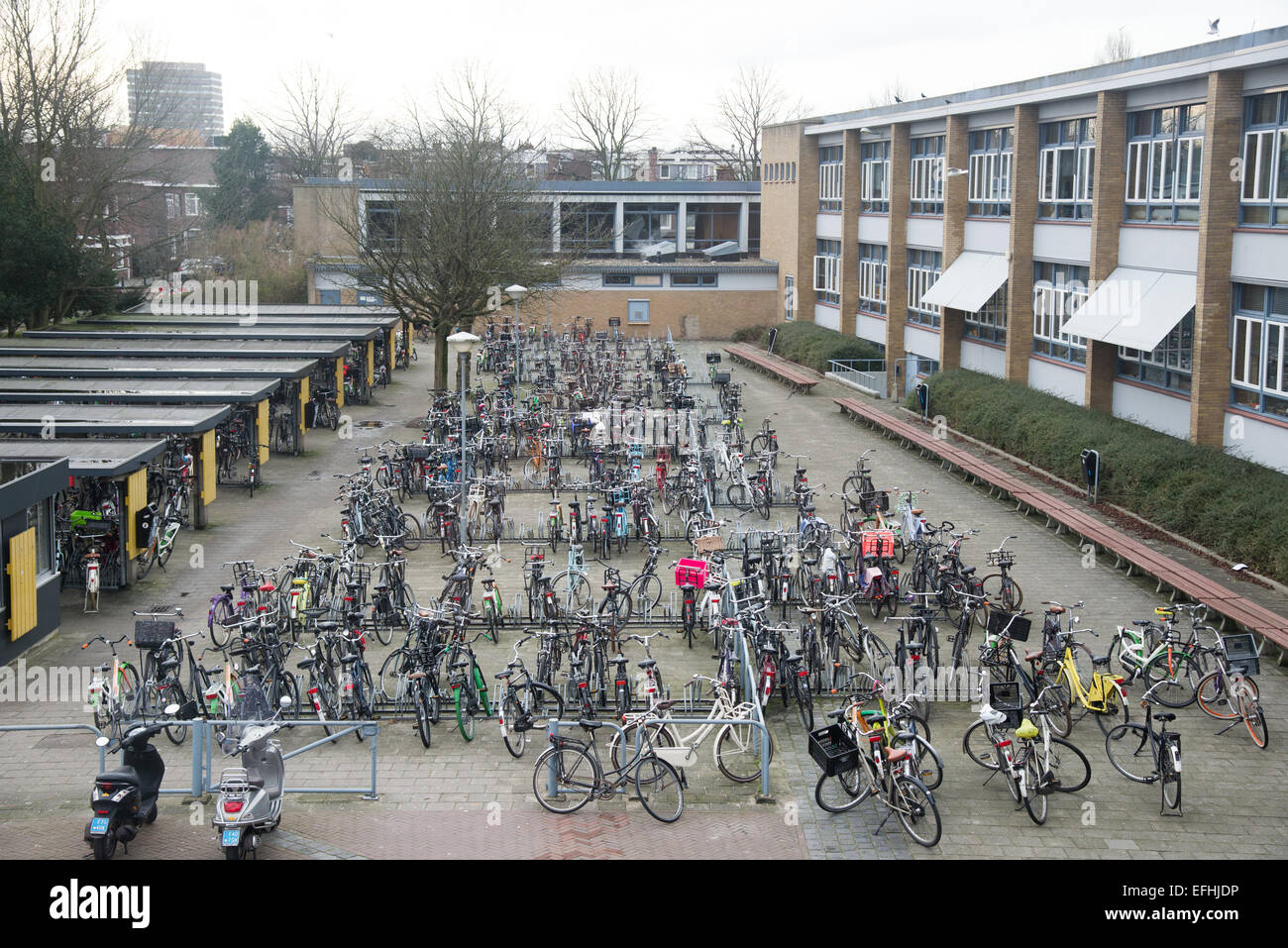 Le biciclette parcheggiate a scuola in Olanda Foto Stock