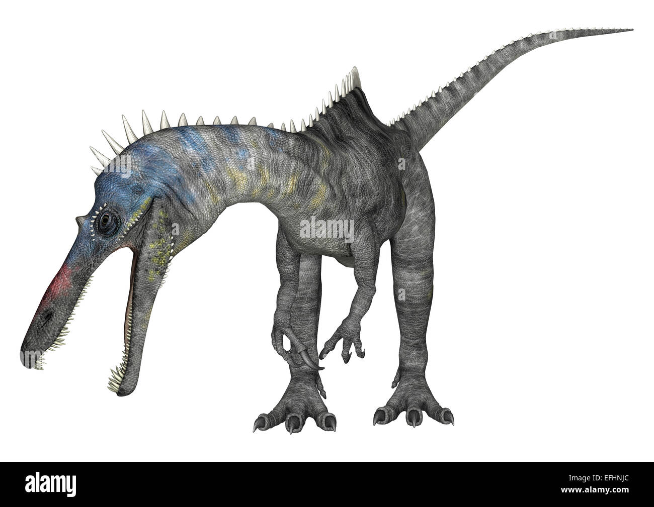 3D render digitale di un dinosauro curioso Suchomimus o Suchomimus tenerensis isolati su sfondo bianco Foto Stock