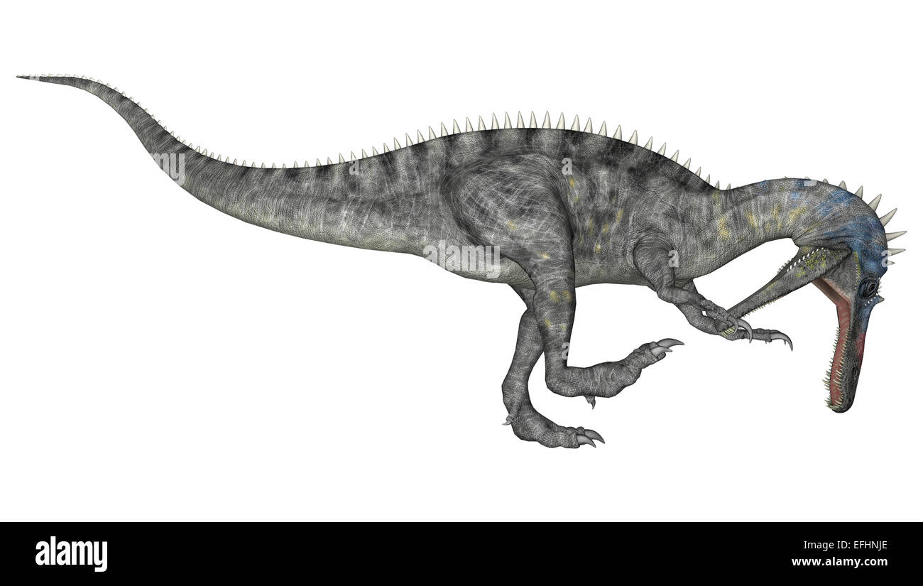 3D render digitale di un dinosauro curioso Suchomimus o Suchomimus tenerensis isolati su sfondo bianco Foto Stock