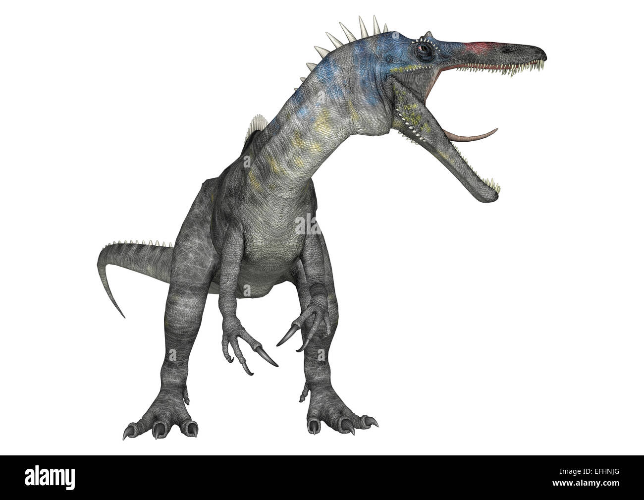 3D render digitale di un aggressivo dinosauro Suchomimus o Suchomimus tenerensis isolati su sfondo bianco Foto Stock