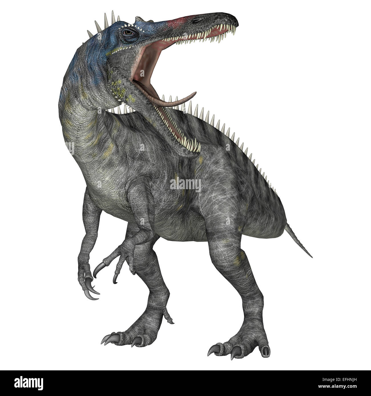 3D render digitale di un dinosauro Suchomimus o Suchomimus tenerensis isolati su sfondo bianco Foto Stock