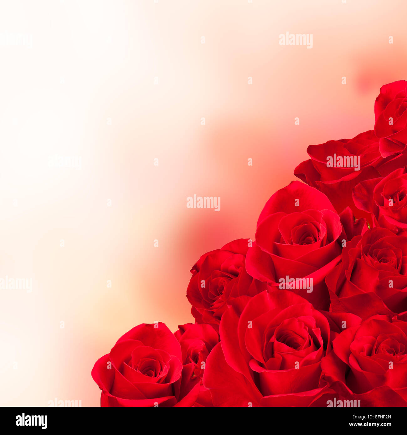 Bouquet di rose rosse blossoms con spazio libero per il testo Foto stock -  Alamy