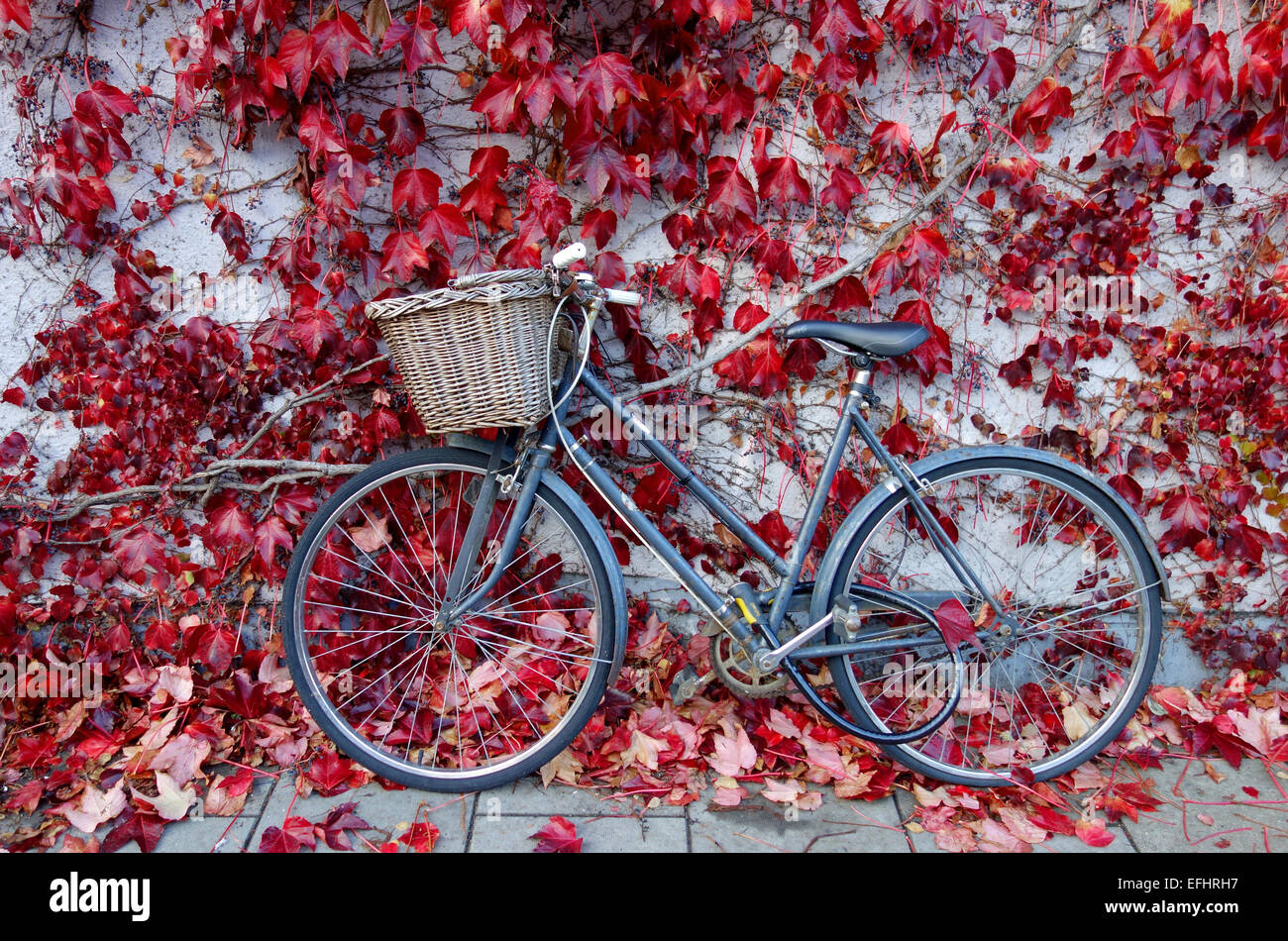 Bicicletta appoggiata contro la red foglie autunnali, Oxford, Inghilterra, Regno Unito Foto Stock