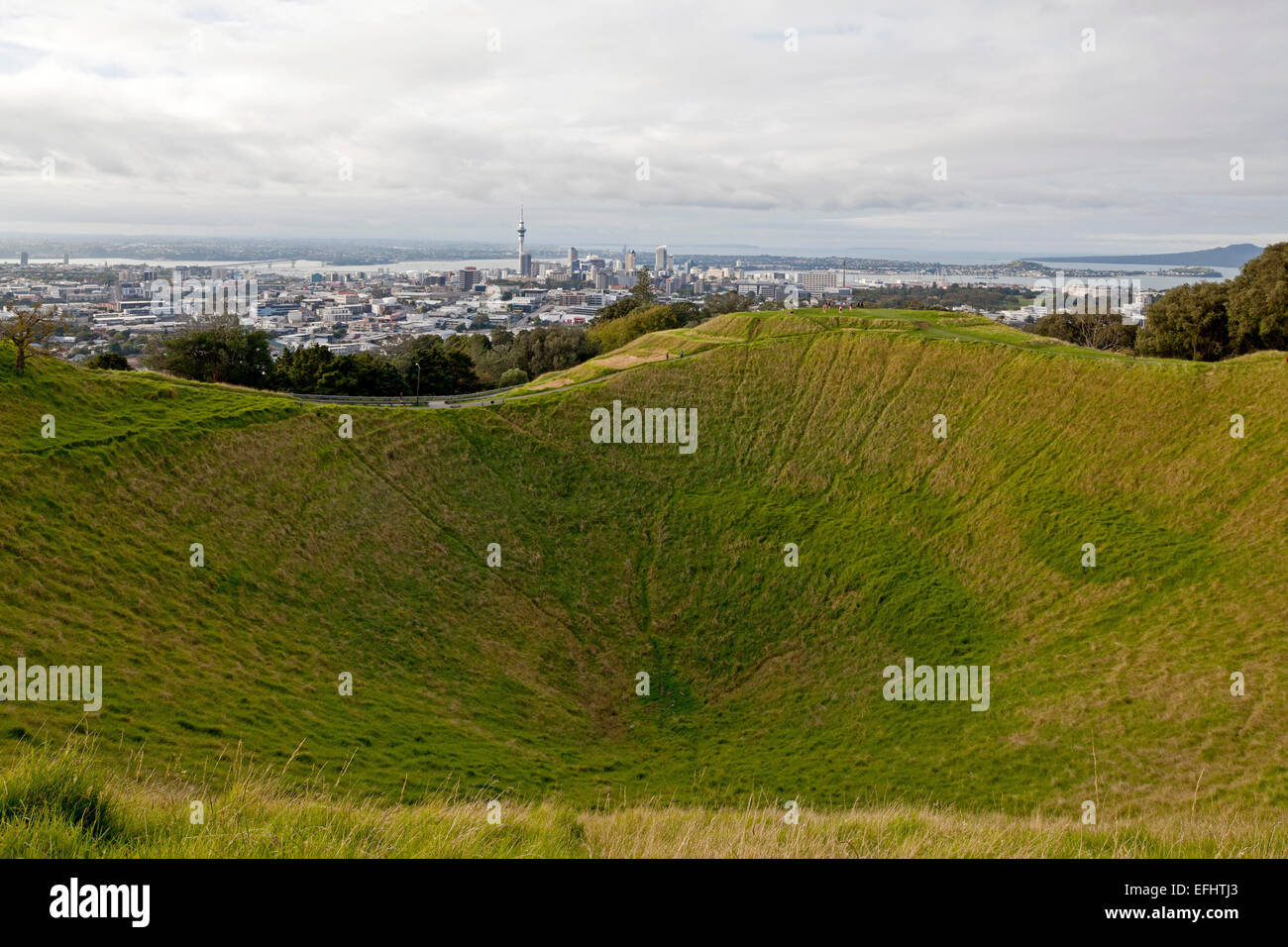 Lo skyline di Auckland vista dal monte Eden e visualizzare nell'erba-coperto cratere del vulcano, Auckland, Isola del nord, Nuova Zelanda Foto Stock