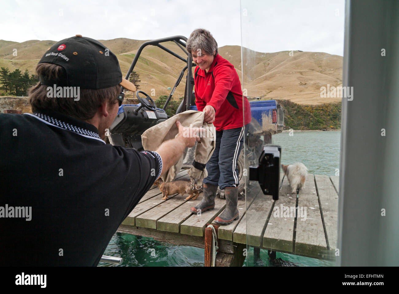 Il recapito dei messaggi di posta da mailboat, Marlborough Sounds, Isola del Sud, Nuova Zelanda Foto Stock