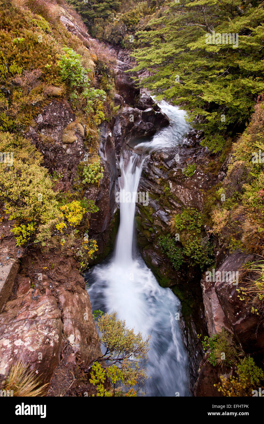 Le Waitonga cascata in una gola, Tongariro Alpine Crossing, Tongariro National Park, North Island, Nuova Zelanda Foto Stock