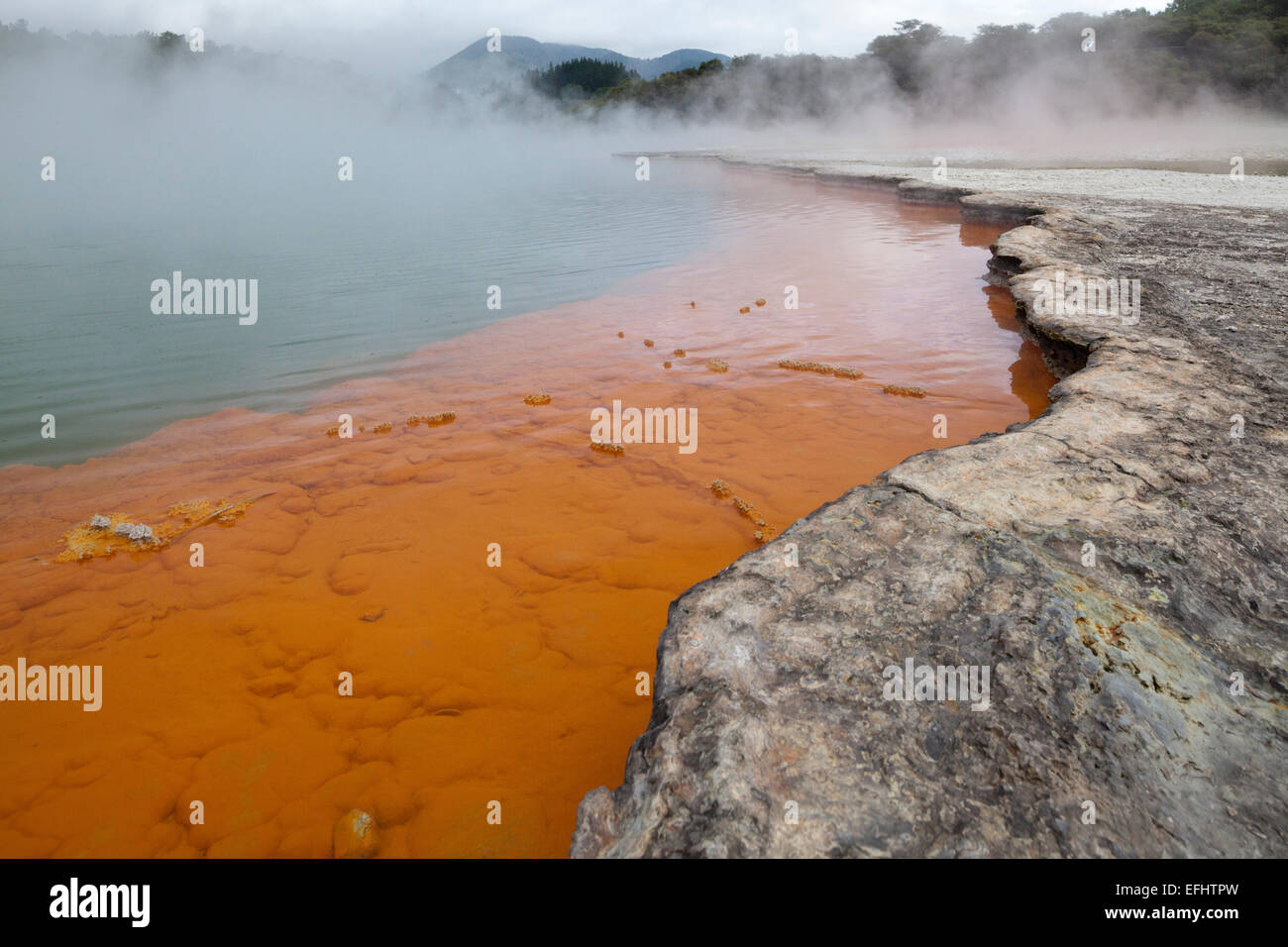 Champagne, piscina piscina geotermica con biossido di carbonio bolle, Waio-tapu Crater Lake, vicino a Rotorua, Isola del nord, Nuova Zelanda Foto Stock