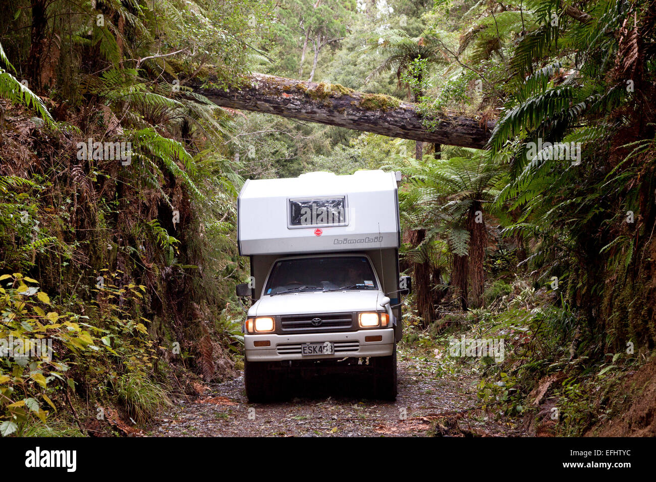 4WD camper su una pista forestale nella foresta Whirinaki, Isola del nord, Nuova Zelanda Foto Stock