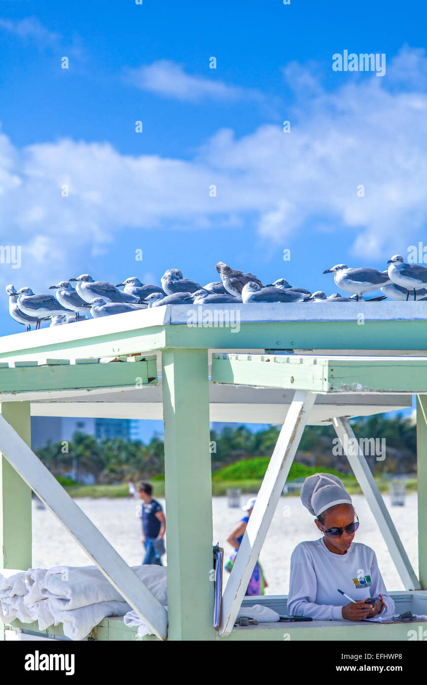 Telo da spiaggia stazione di servizio per il Ritz Carlton con i gabbiani sulla parte superiore, South Beach, Miami, Florida, Stati Uniti d'America Foto Stock