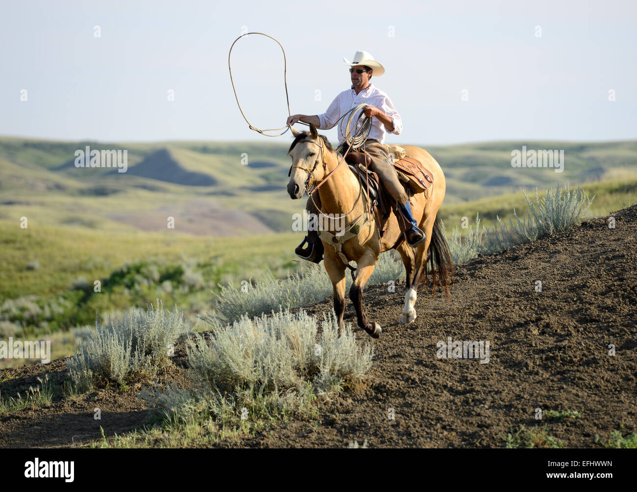 Cowboy con lazo, Giorgio Gaber, proprietario di La Reata ranch canadese, praterie, Saskatchewan, Canada Foto Stock