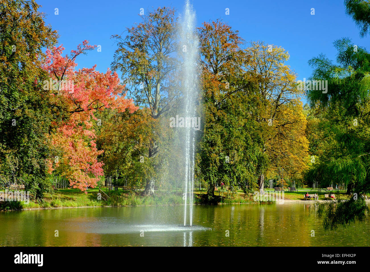 Getto di acqua di stagno e Parc de l'Orangerie park Strasburgo Alsace Francia Foto Stock