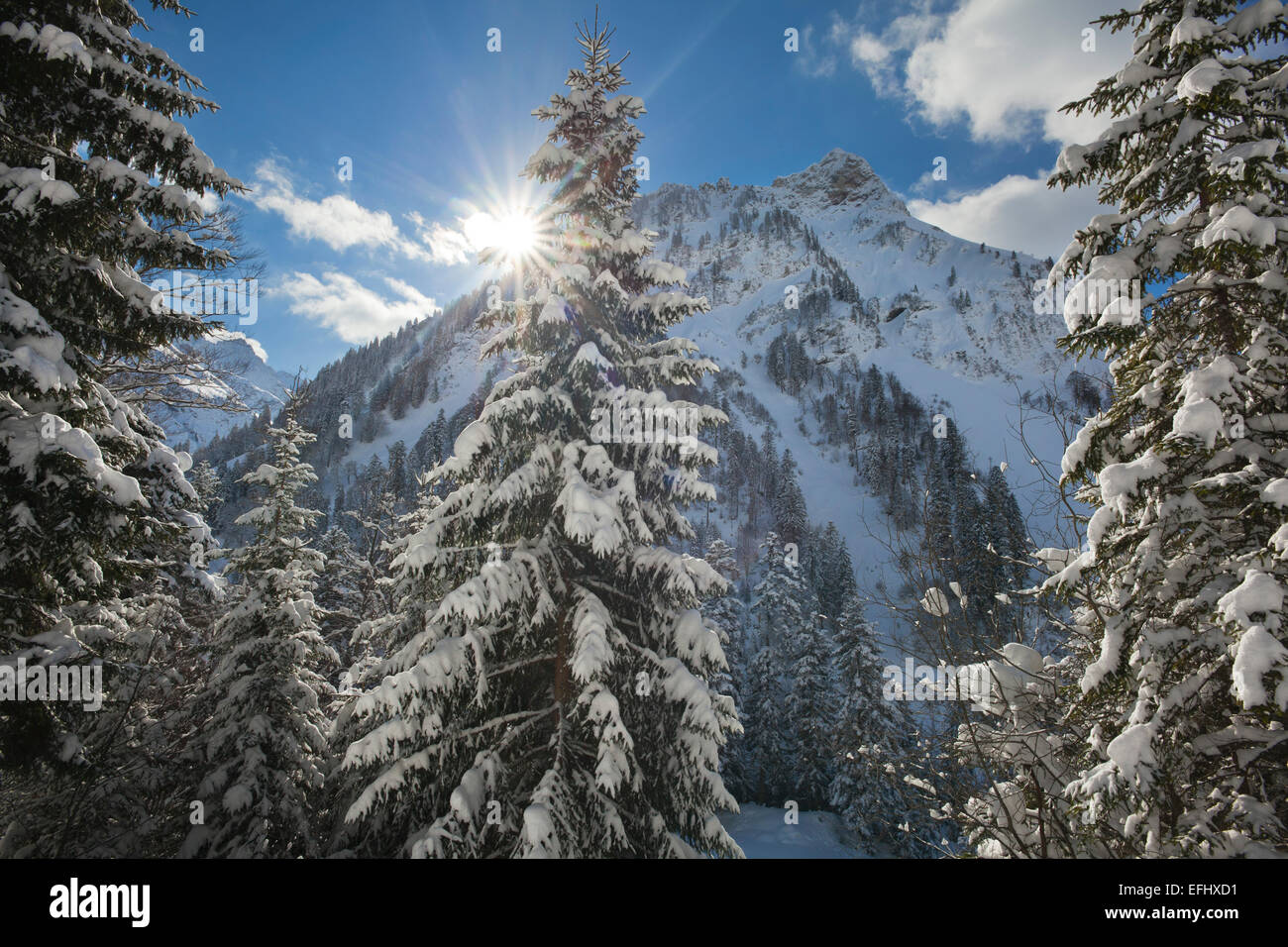 Paesaggio Di Inverno in Valle Hintersteiner vicino a Bad Hindelang, visualizzare a Giebel, Allgaeu, Baviera, Germania Foto Stock