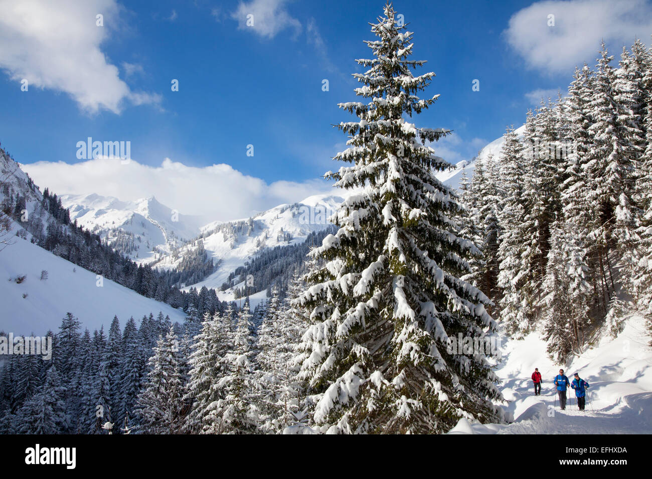 Gli escursionisti in un paesaggio invernale a tal Hintersteiner vicino a Bad Hindelang, Allgaeu, Baviera, Germania Foto Stock