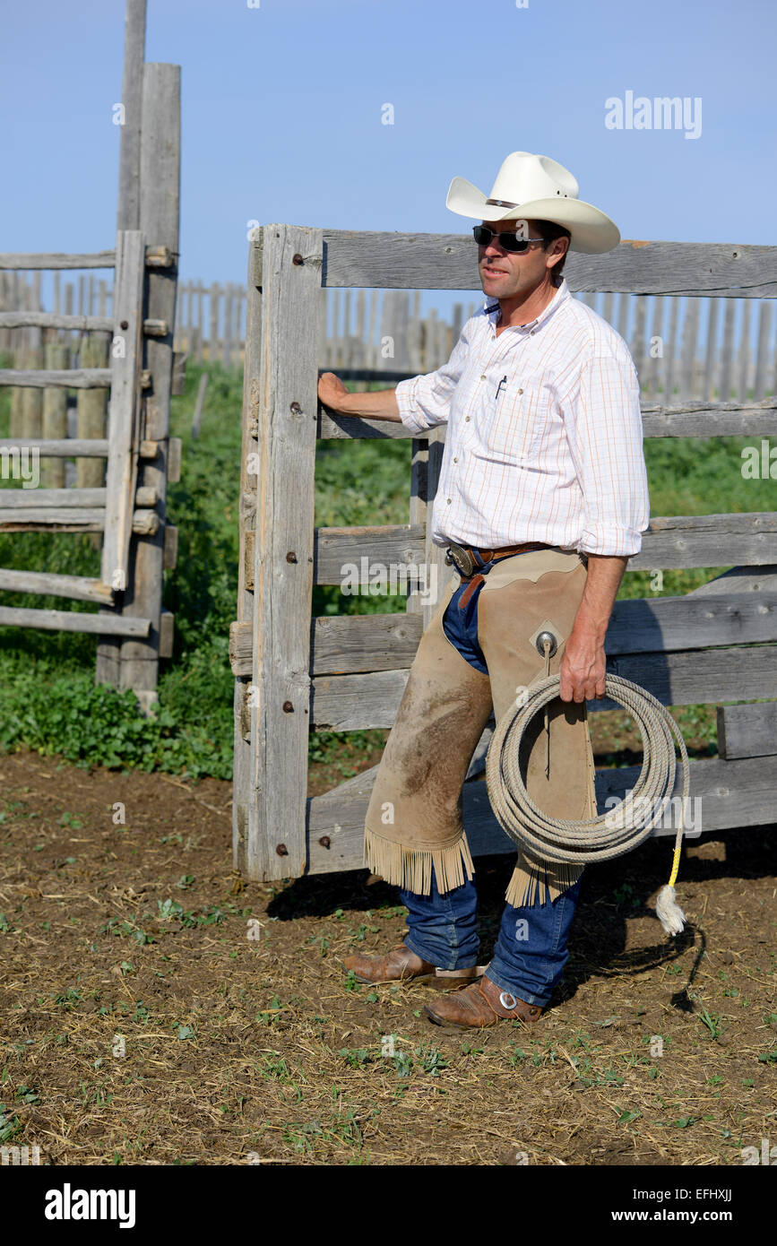 Cowboy con lazo, Giorgio Gaber, proprietario di La Reata Ranch, Saskatchewan, Canada Foto Stock