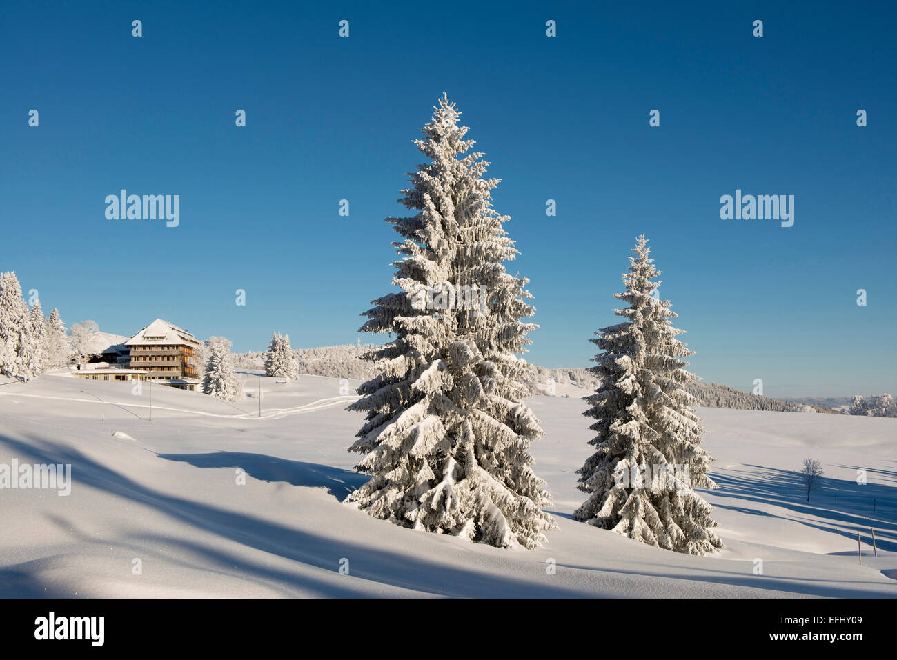Coperta di neve alberi e hotel Halde, Schauinsland, nei pressi di Freiburg im Breisgau, Foresta Nera, Baden-Wuerttemberg, Germania Foto Stock