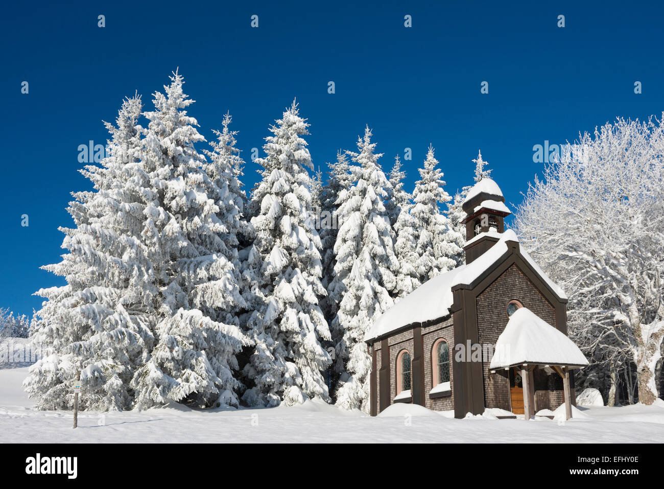 Coperta di neve alberi e cappella, Schauinsland, nei pressi di Freiburg im Breisgau, Foresta Nera, Baden-Wuerttemberg, Germania Foto Stock