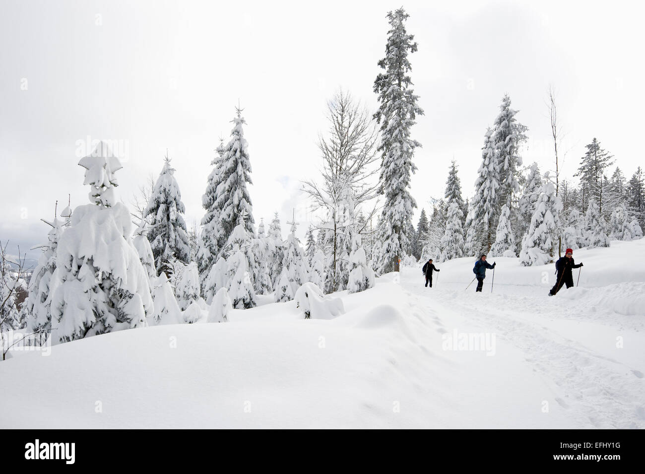 Coperta di neve alberi e fondisti, Schauinsland, nei pressi di Freiburg im Breisgau, Foresta Nera, Baden-Wuerttemberg, Germania Foto Stock