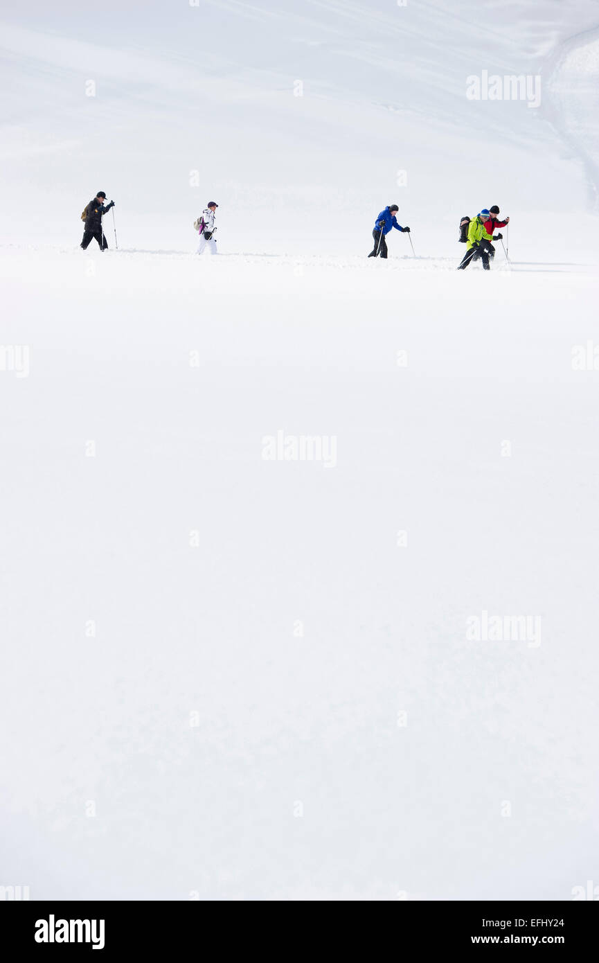 Con le racchette da neve gli escursionisti, Hinterzarten, Foresta Nera, Baden-Wuerttemberg, Germania Foto Stock