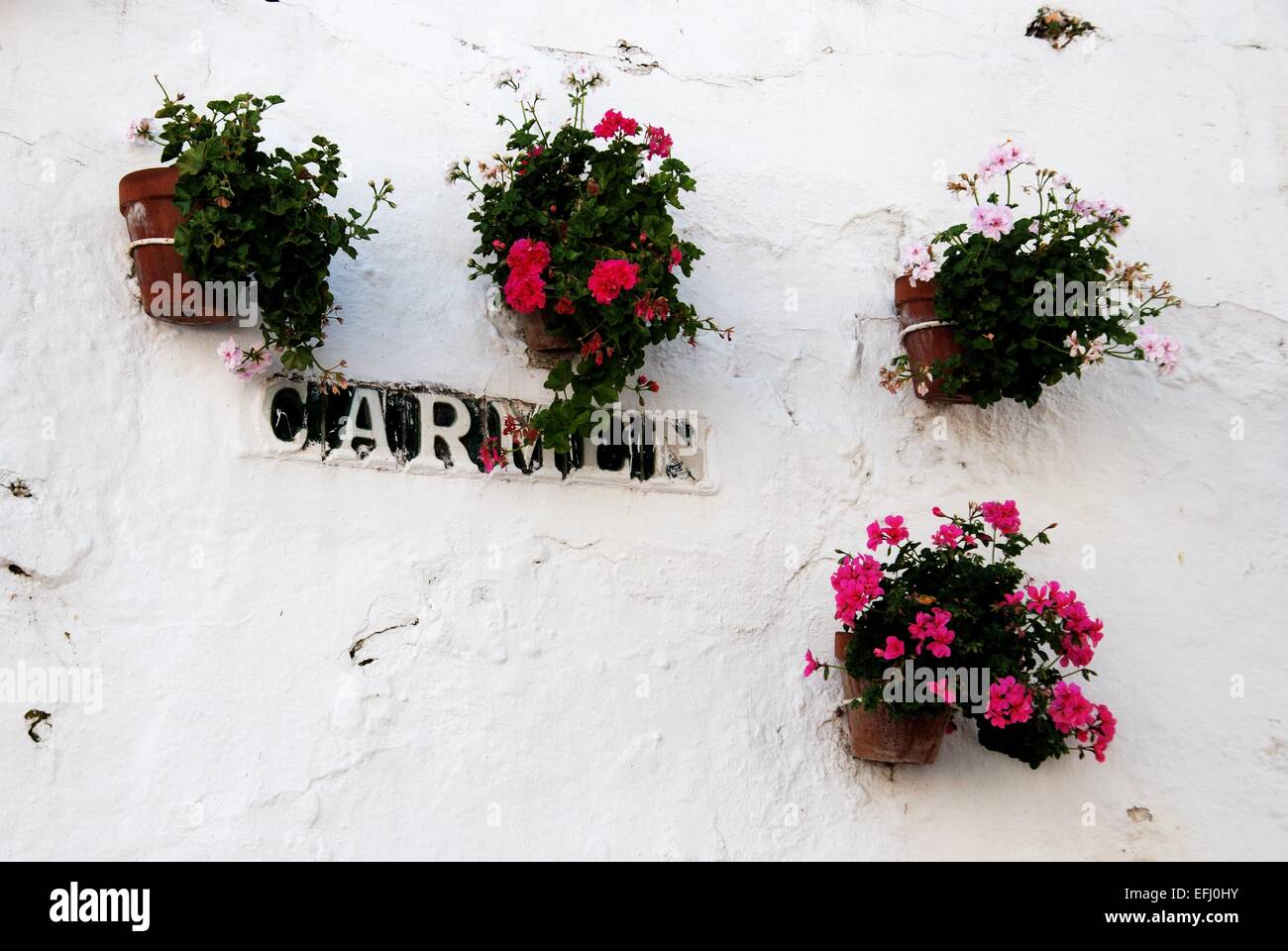 Gerani in vasi su una parete dipinta di bianco con una ceramica nome strada, Marbella, Costa del Sol, provincia di Malaga, Andalusia, Spagna Foto Stock