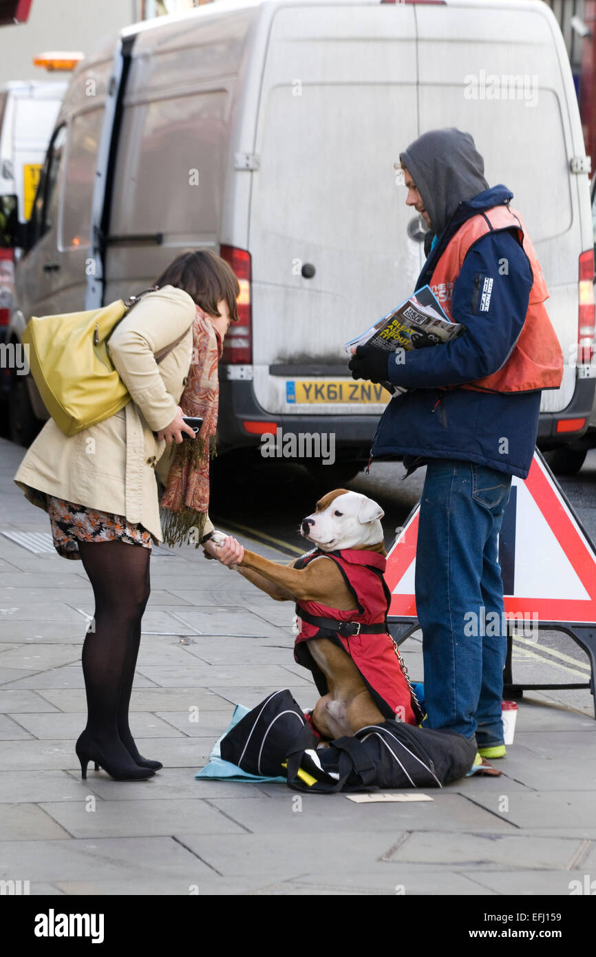 Grande problema venditore e il suo cane saluto un membro del pubblico a Londra Inghilterra Foto Stock
