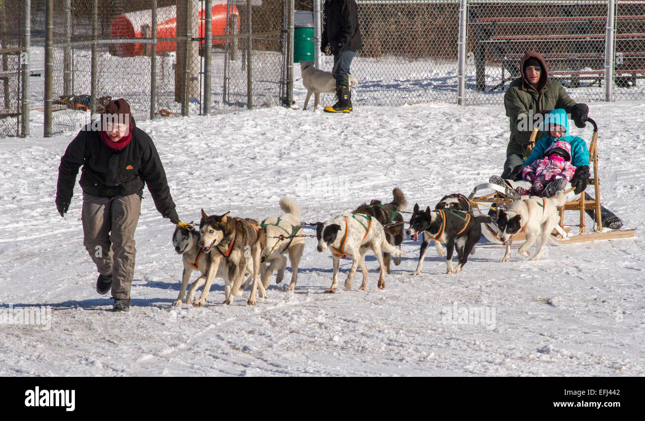 La madre e il bambino su una slitta trainata da cani giro in Cannington slitta trainata da cani gare e Festival Invernale Foto Stock