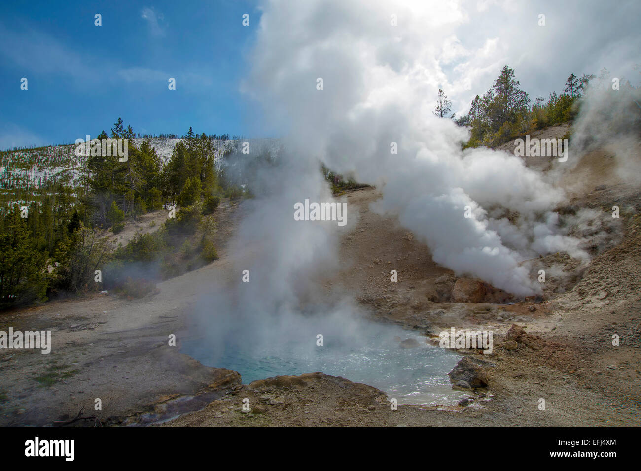 Area geotermica nel Parco Nazionale di Yellowstone Foto Stock