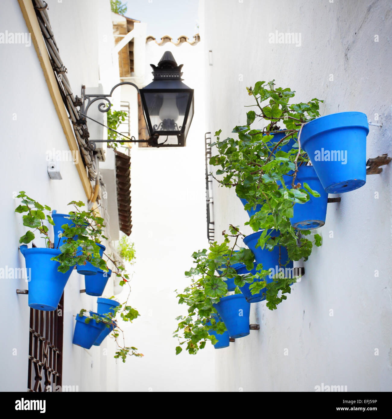 Strada stretta con fiori in Cordoba Foto Stock