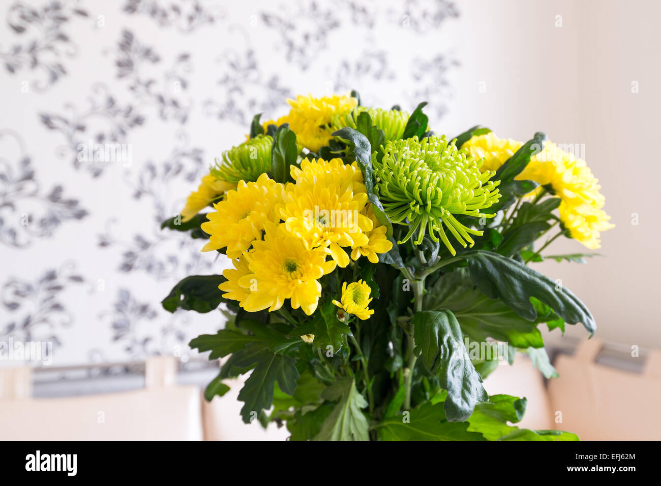 Bouquet di giallo e verde crisantemo Foto Stock