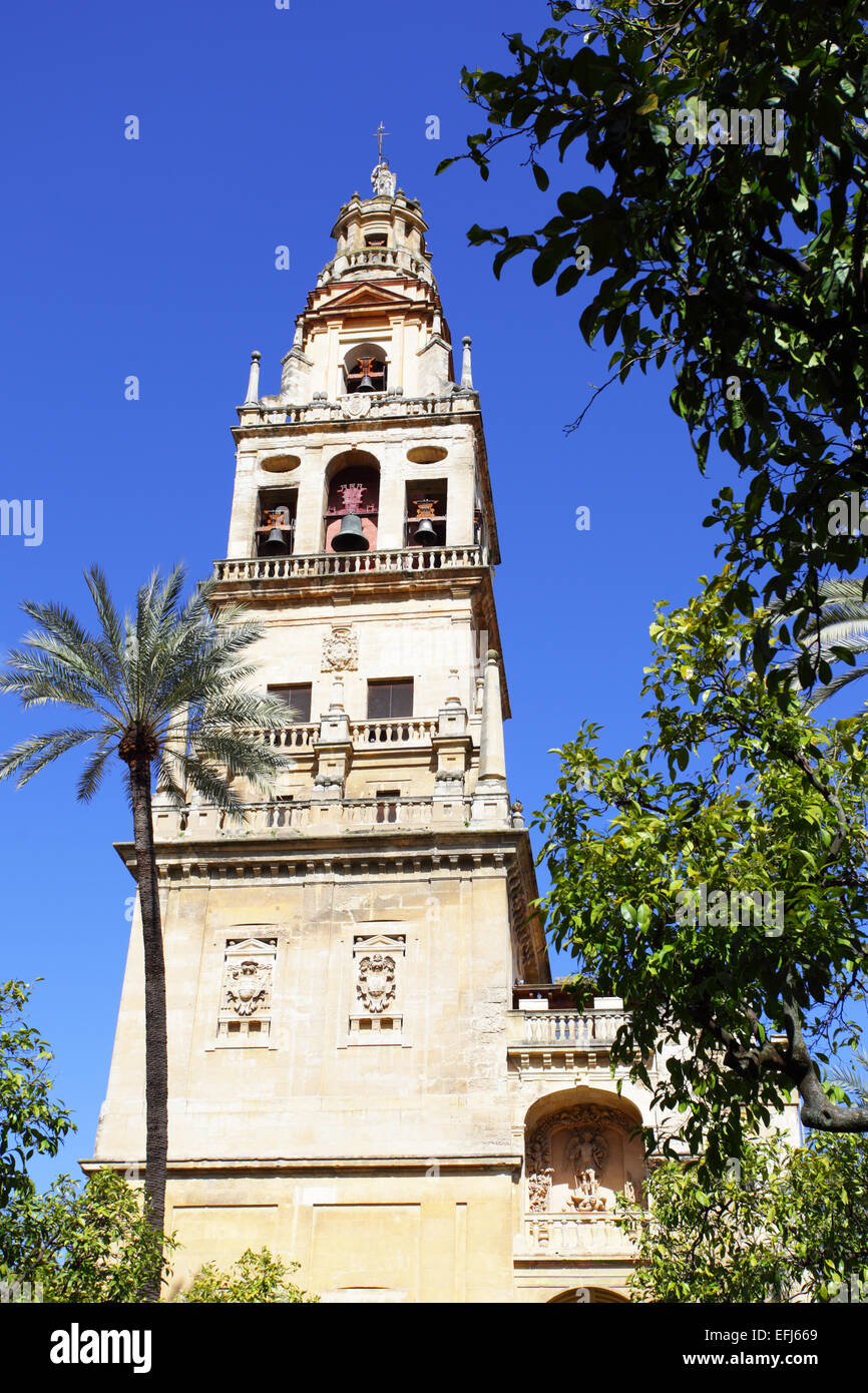 Il campanile della cattedrale (la Mezquita), Cordoba Foto Stock