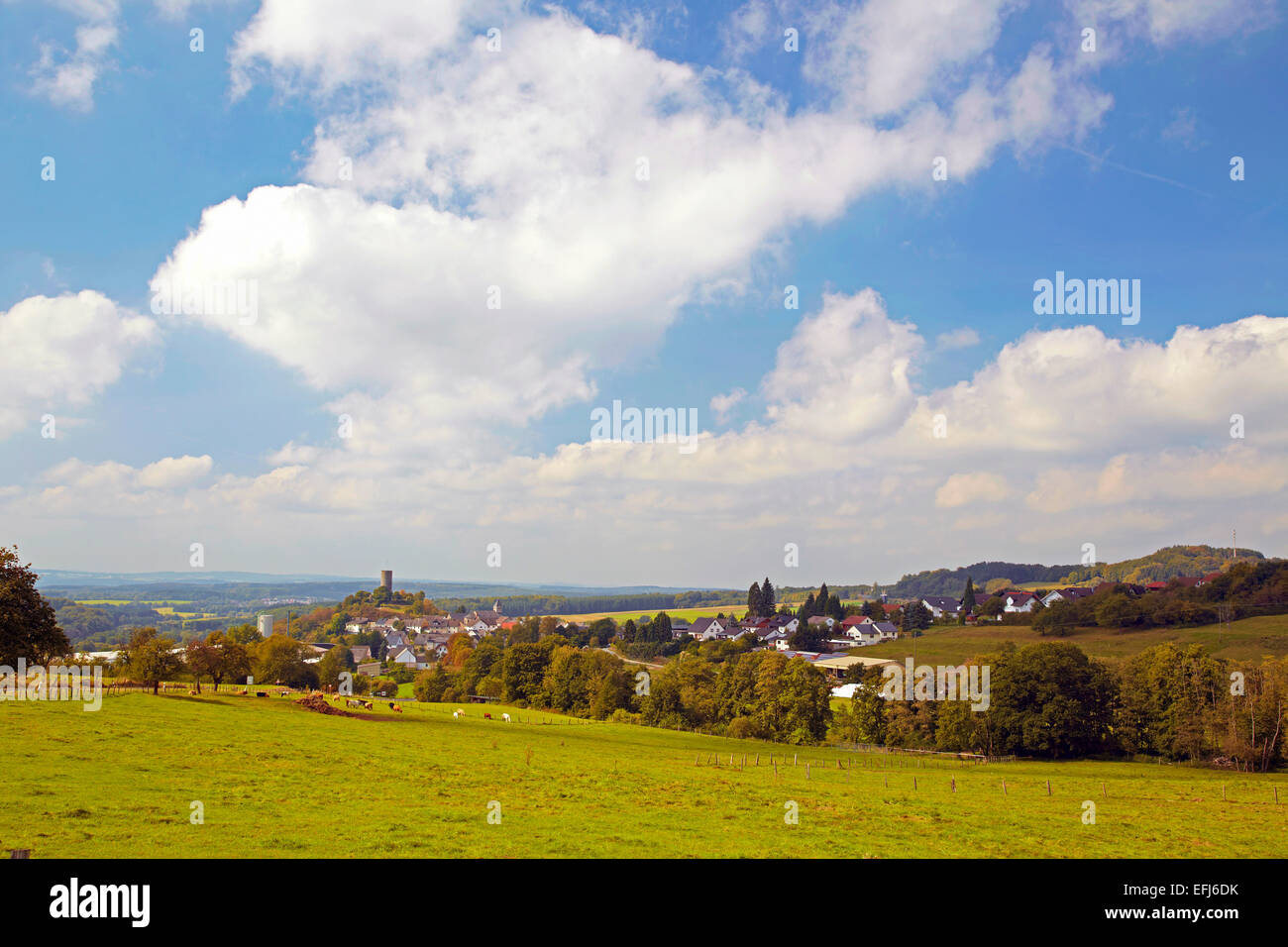 Vista di Hartenfels con le rovine del castello di Hartenfels, localmente noto come Schmanddippe, zangola, Westerwald, Rhineland-Palat Foto Stock