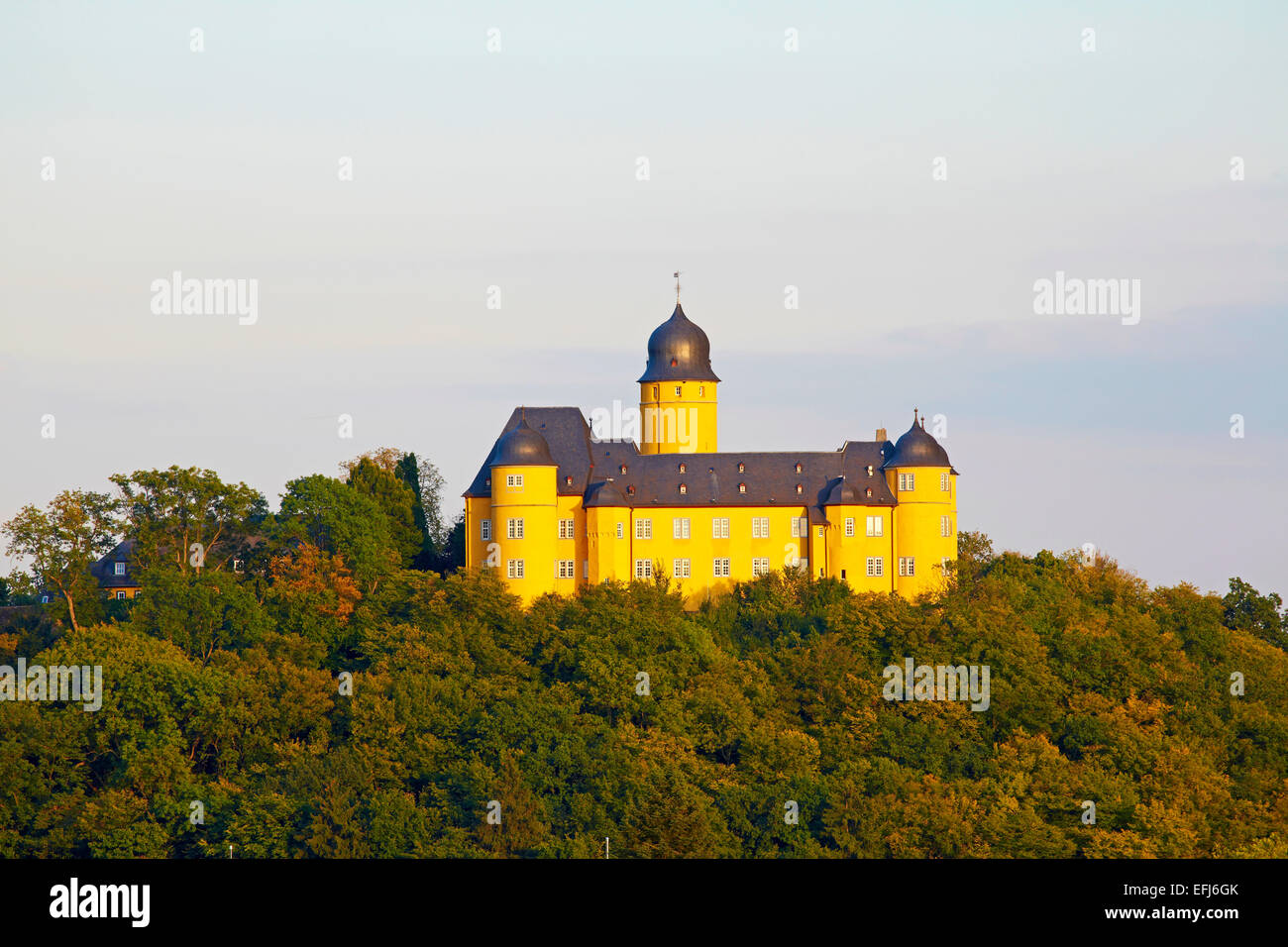 Montabaur castle, Accademia di tedesco banche cooperative, Montabaur, Westerwald, Renania-Palatinato, Germania, Europa Foto Stock