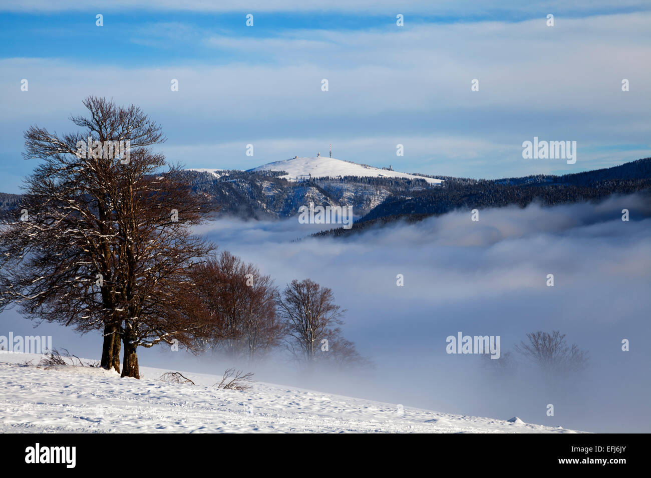 Paesaggio invernale sul monte Feldberg, inversione atmosferica, Foresta Nera, Baden-Württemberg, Germania Foto Stock