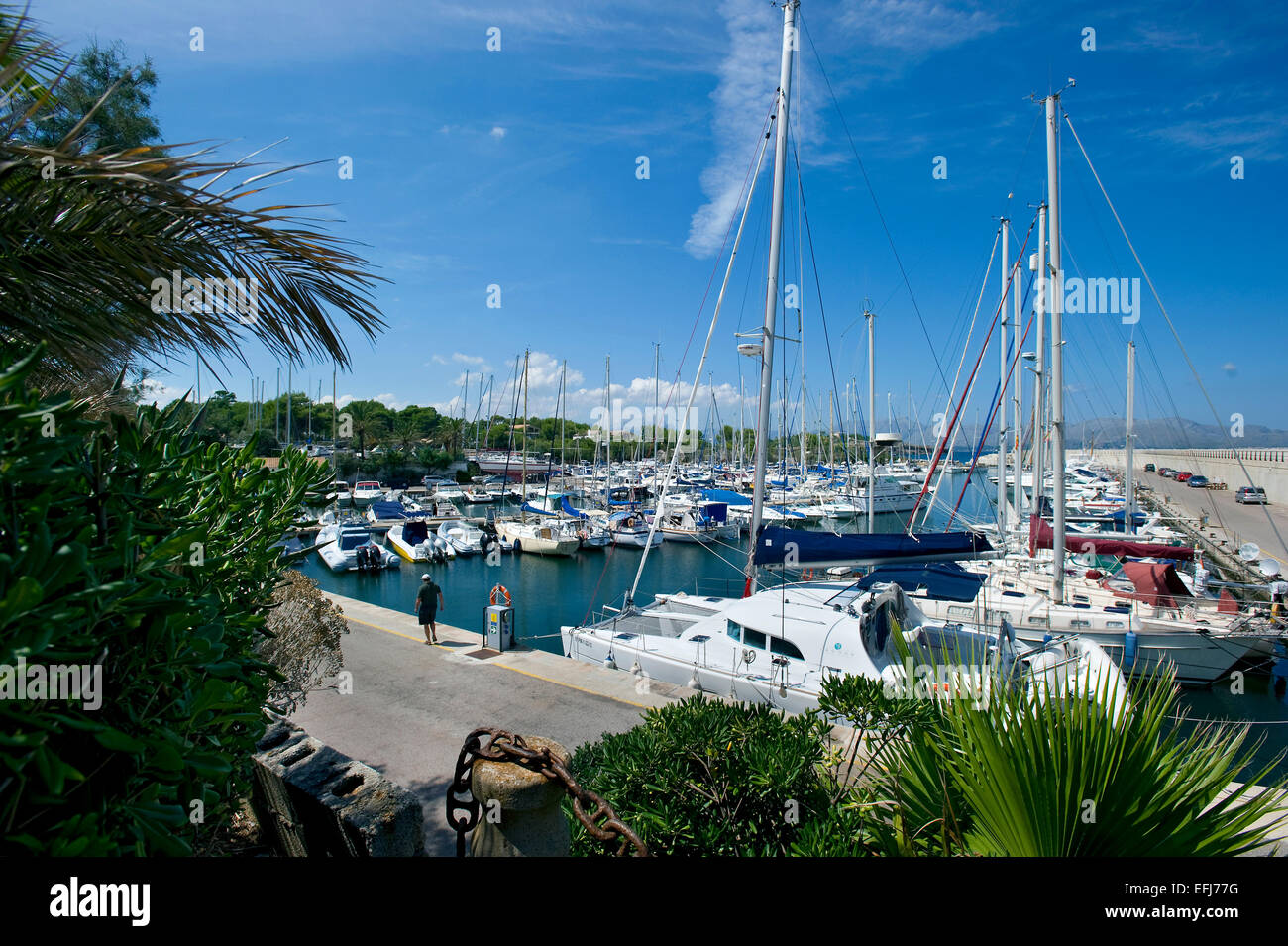Marina, Bonaire, Maiorca, Baleari, Spagna Foto Stock
